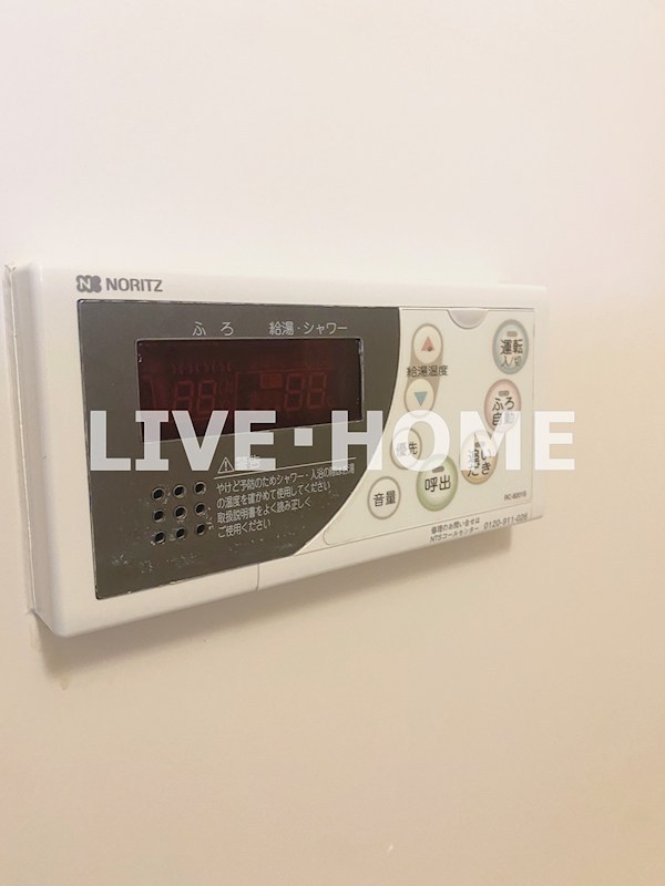 その他29
