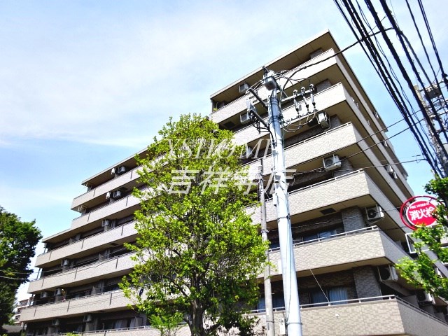 その他11