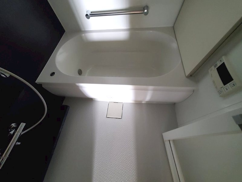 その他29