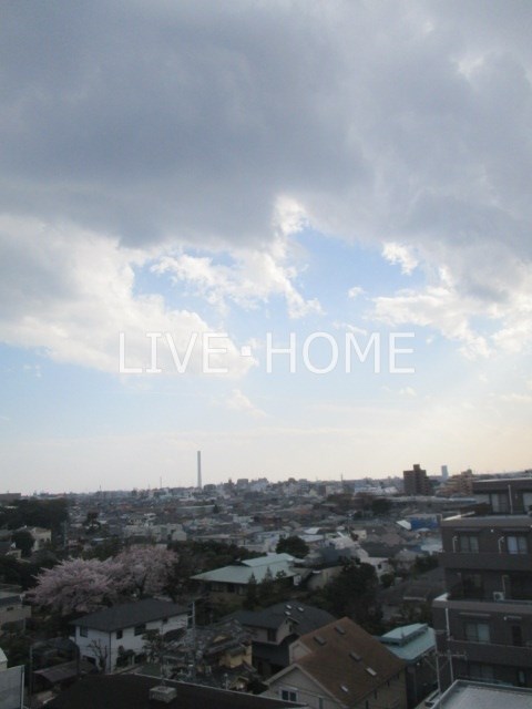 その他14