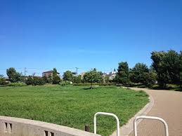 今川3丁目戸建 周辺画像5