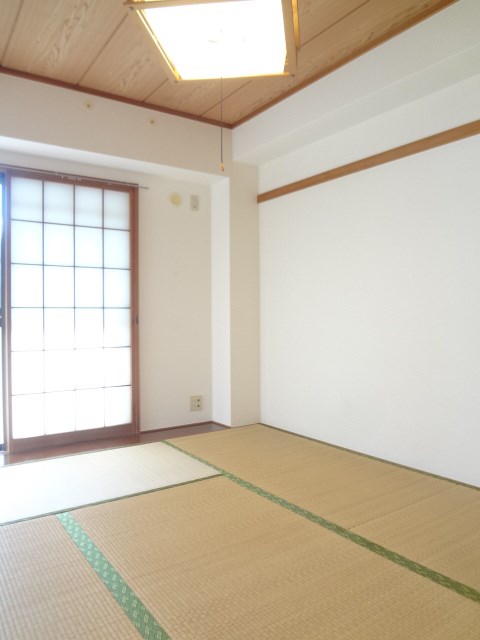 その他13
