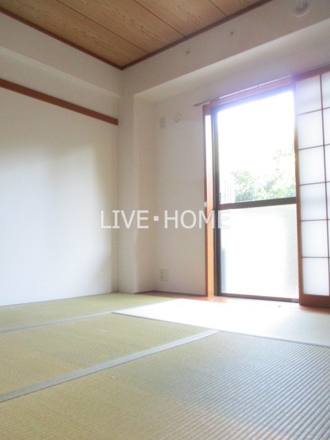 その他13
