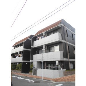 その他11