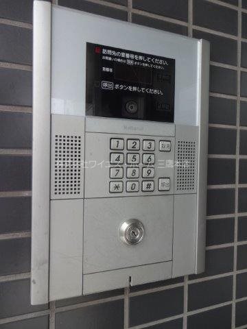 パインニードル　　 その他3