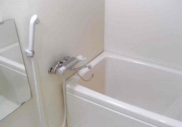 パインニードル　　 風呂画像