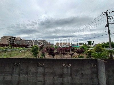 その他24