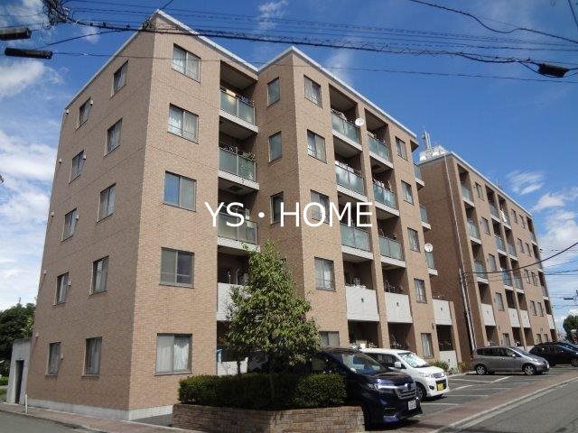 その他11