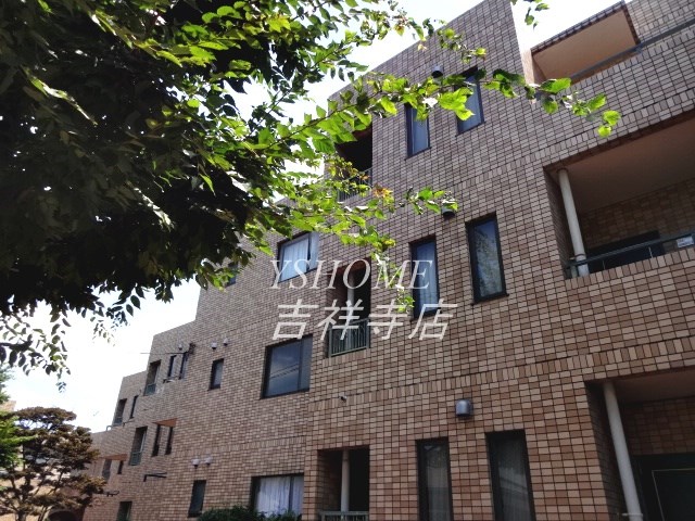 その他11