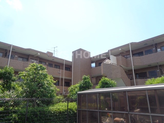 その他17