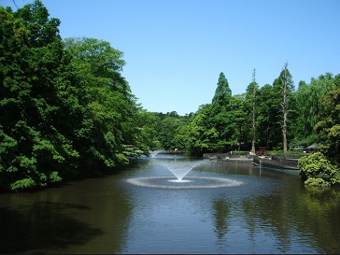 Ｓ・フラット吉祥寺　 周辺画像10