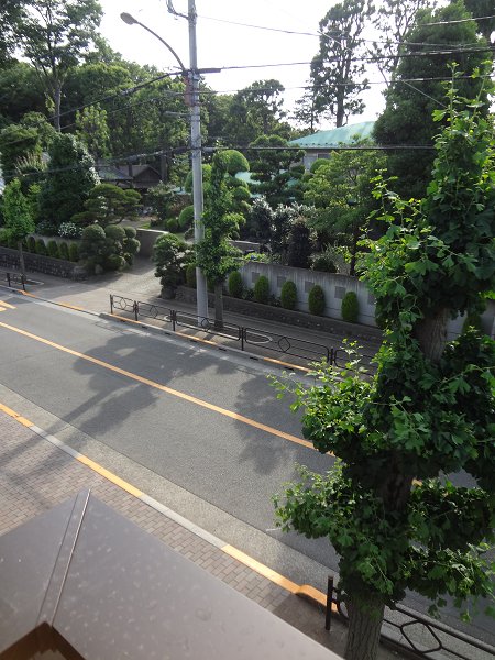 その他29