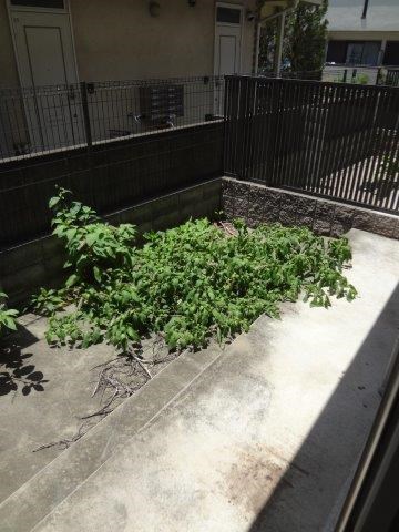 サンク　モンタニアA棟 ベランダ