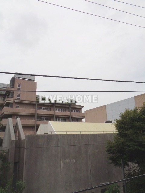 その他17