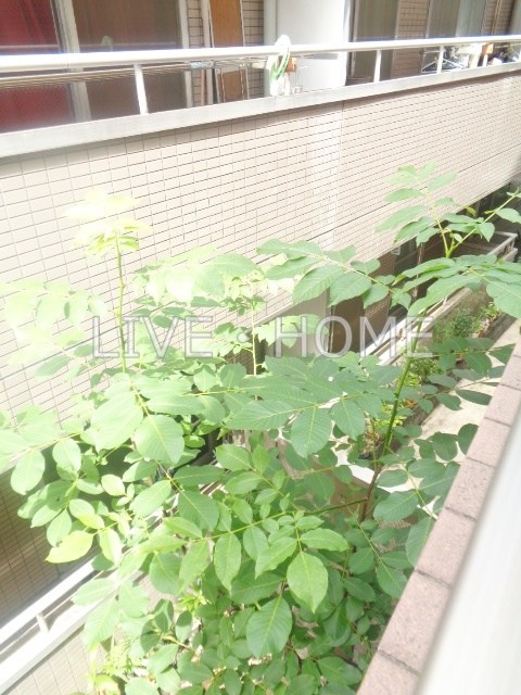 その他6