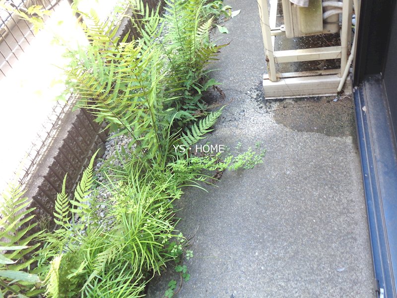 その他19