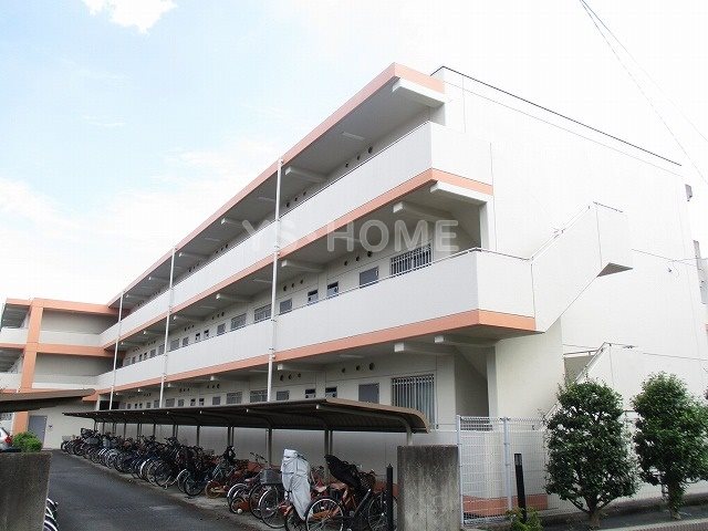 その他11