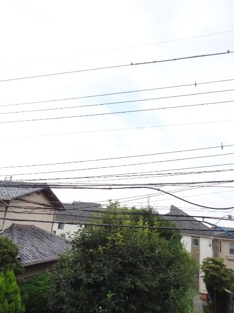 その他4