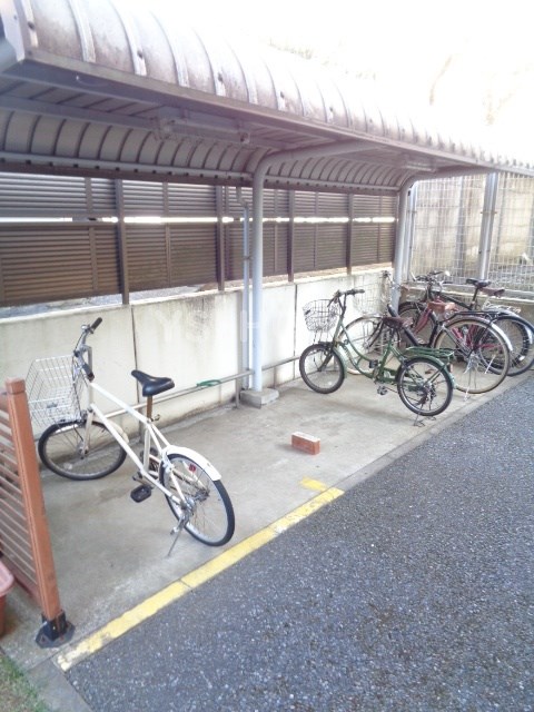 その他17