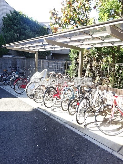 その他11