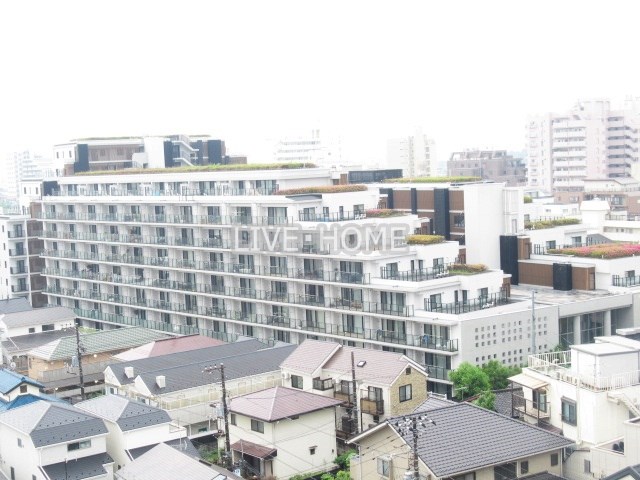 その他11