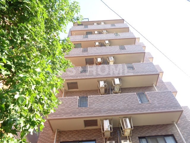 その他11