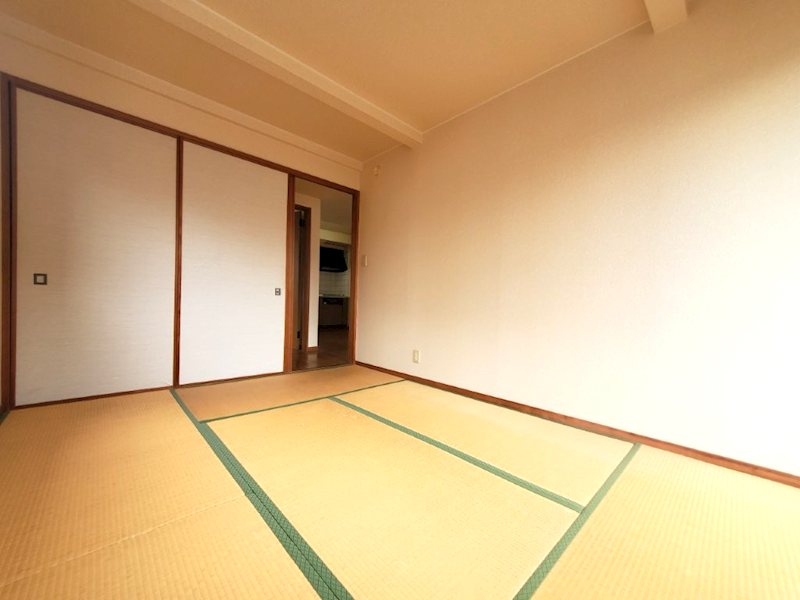 その他24