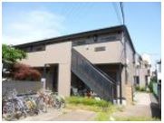 その他11