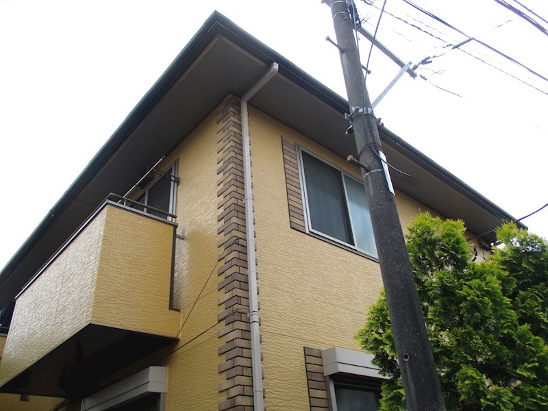 その他11