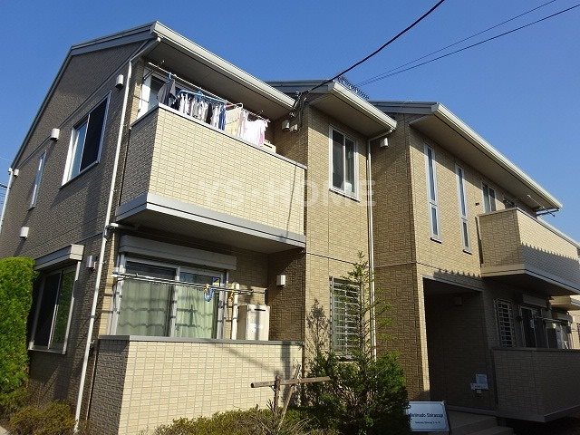 その他11