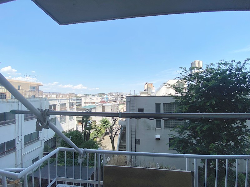 その他31