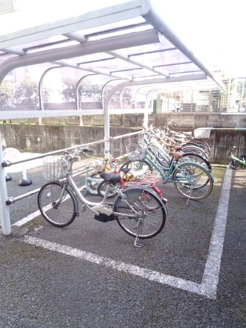 その他19