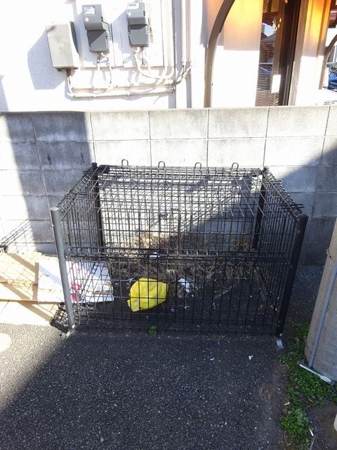 その他11