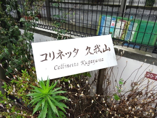 その他11