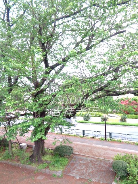 その他13