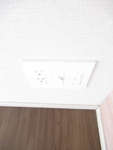 その他24