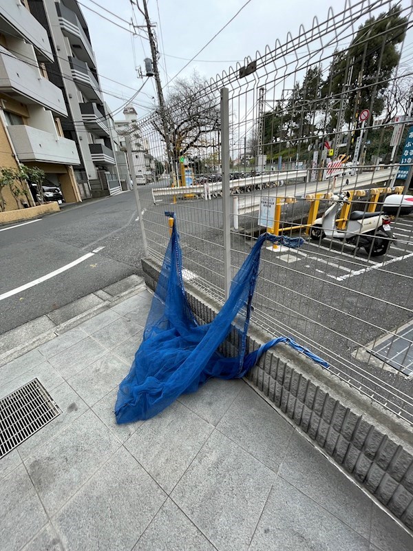 その他31