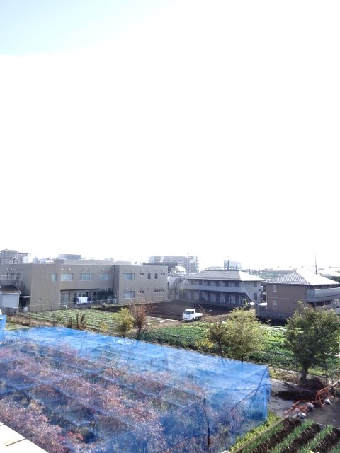 その他4