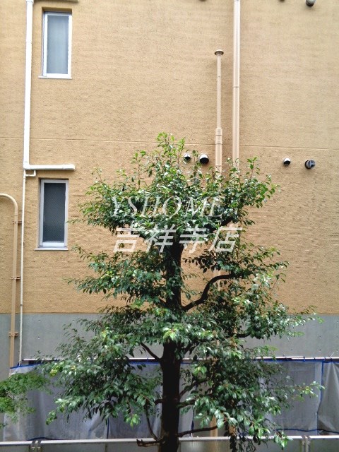 その他11