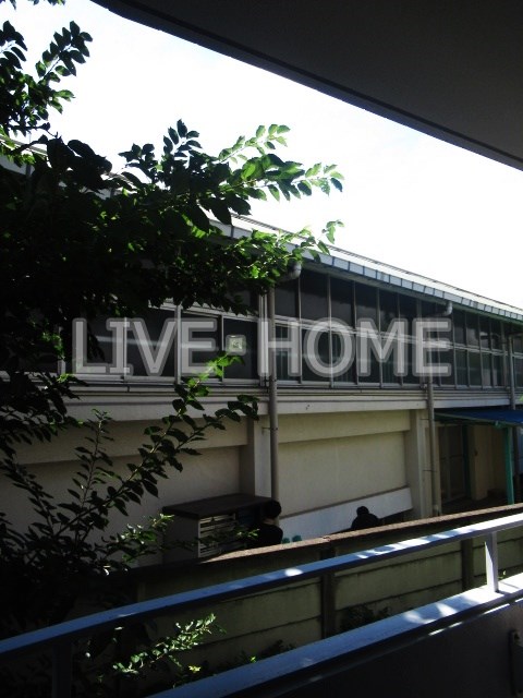 その他11