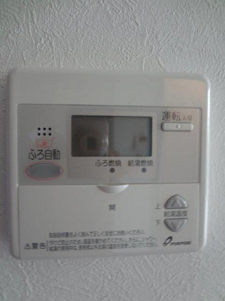 ラピスラズリ　　 その他4