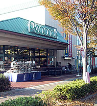 関野町戸建  周辺画像6