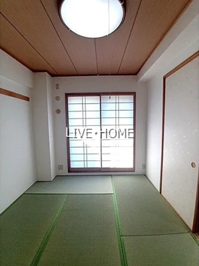 その他12