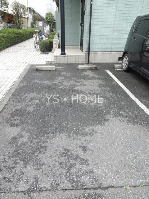 エバーグリーン  A その他21