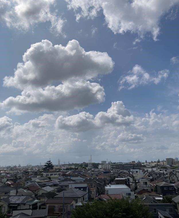 その他14