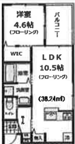 ビバグランデ桃林  間取り