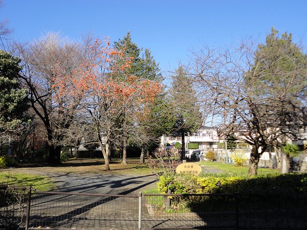 モン・シャトー井の頭公園 周辺画像3