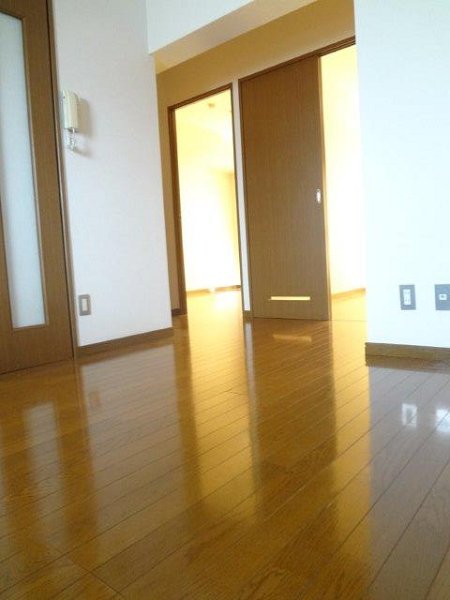 ヴェルドミール その他7
