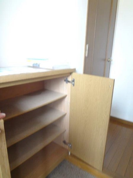 ヴェルドミール その他12