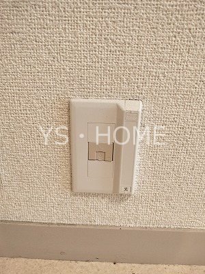 その他25